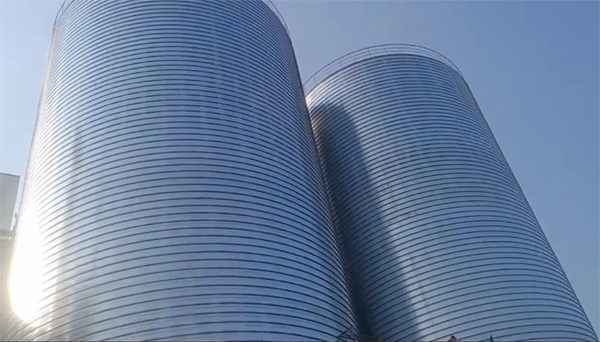 吴堡2座混凝土高架卷板仓